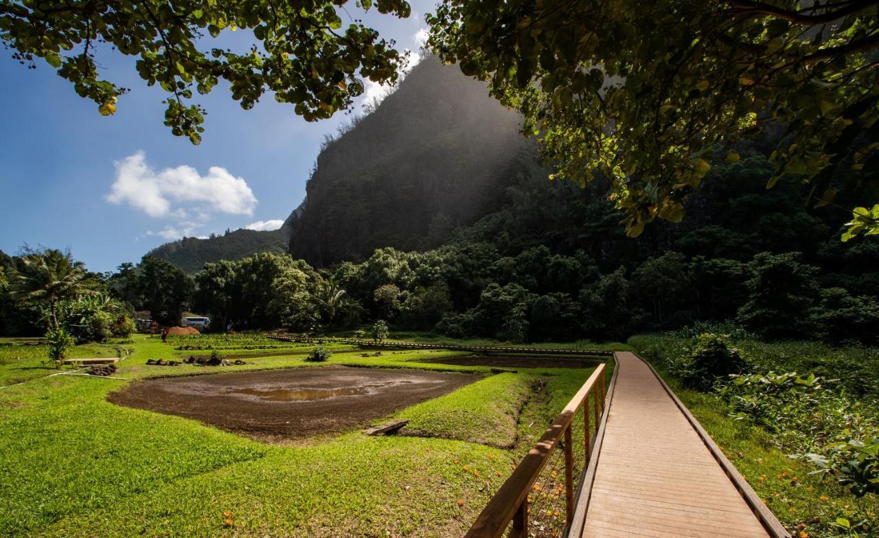Hanalei Colony Resort Exteriér fotografie