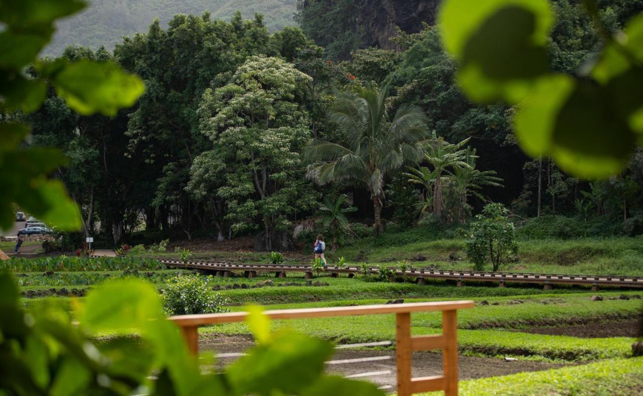 Hanalei Colony Resort Exteriér fotografie